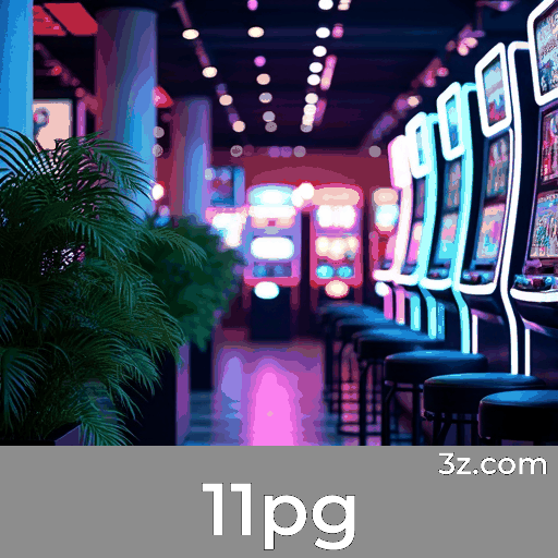 Controle Exclusivo e Personalizado da Sua Conta na 11pg