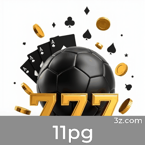 11pg: Experiência de Membro Premium com Gestão de Conta